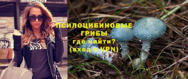 не бодяженный Алзамай