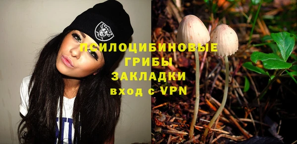 не бодяженный Алзамай